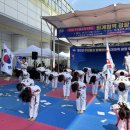 용인대송라태권도 이미지