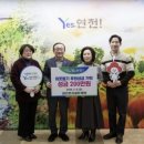 파인트리 이미지