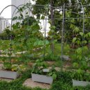 부영메드 이미지