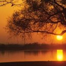 아름다운 이미지