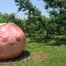 남면청소년 문화의집 이미지