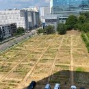 행복을 farm 이미지