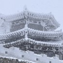 무주 깊은골 캠핑장 눈 오는 화이트 크리스마스 설중캠핑