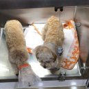 동편동물병원 이미지