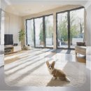 충주미래병원 | 충주 애견분양 업체 방문 후기 강아지를 보러 갔다가 결국 포기한 이유