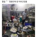 LH 한국토지주택공사 인턴 2주차 근무후기 🐣