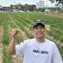 호석농장 이미지