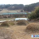 이극견 가계 석물군 이미지