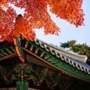 내소사민박 | 내소사 단풍 절정: 붉게 물든 가을 속으로 떠나는 시간 여행