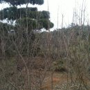 고부농장 이미지