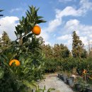 재미농장 이미지