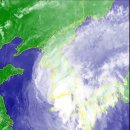 표선면 행정용 현수막 게시대 | [스크랩] 오늘의 포토뉴스(9/17)