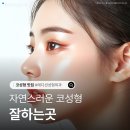 영영성형외과 | 서울 자연스러운코성형 잘하는곳, 어떻게 고를까? — 유형별 체크리스트 (강남역 에디션성형외과)