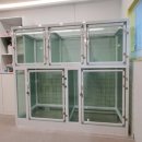 개팔상팔 이미지