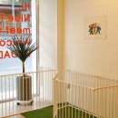 다다다펫그루밍 이미지