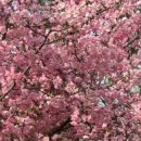 완산-124 이미지