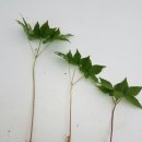 만물농장 이미지