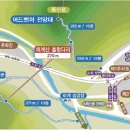 월하정