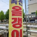 중앙로 옥천-5 이미지