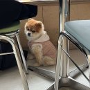 리프레쉬룸