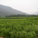 만물농장 이미지