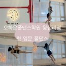 유튜버 입문과정(하) | [왕십리 폴댄스] 오하운폴댄스 왕십리점 후기｜폴댄스 첫입문 원데이클래스 받고 3회 추가한 이유