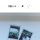 스테이오도록