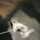 애드티브이노베이션(주) | 새로운 시작