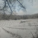 화천농장 이미지