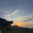 세븐일레븐 인천용종점 | 2024.04.02 - 04.17 : 태어났으면 남해살이, 남해 한달살기_12일차