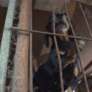 돌무덤농장 이미지