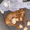 (주)골드클레이 이미지