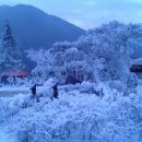 분천산타마을 이미지