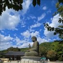 [천안] 태조산 각원사 청동대불(靑銅大佛) 이미지