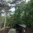 왁자지껄 - 논산시 | 울산 울주군 작천정 달빛야영장 왁자지껄존 캠핑 후기