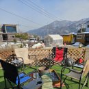 참좋은애견 이미지