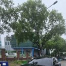 송산카정비 네이버블로그
