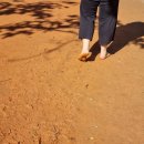 장동감나무보리밥 이미지