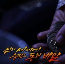 배짱이 엔터테인먼트 이미지
