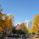 개포신원공인중개사사무소 이미지