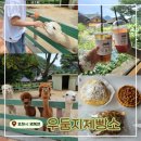 산정농장 | 포천 산정호수 대형카페! <우둠지 제빵소> 알파카에게 먹이주기 체험이 가능한 이색 한옥 카페!