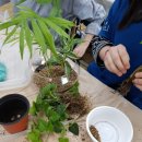 송현여자중학교 이미지