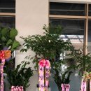 Lct대박공인중개사사무소 이미지