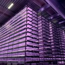 정의농장 이미지