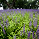 신평1동-13 이미지