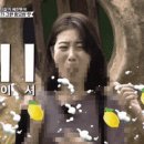 망고투어 이미지