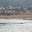 금강사 입구 이미지