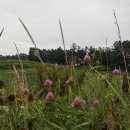 대관령트레이닝센터 이미지