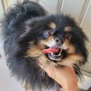 월피파출소 이미지