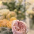 마음치유 생화 플로리스트 이미지